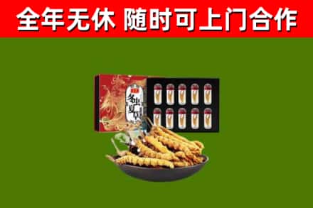 云龙回收冬虫夏草价格